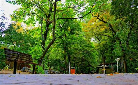 10 Most Attractive Tehran Parks Worth a Visit | Apochi.com