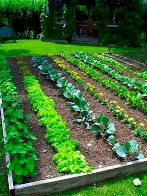 50 Most Productive Small Vegetable Garden Ideas for Small Space ...