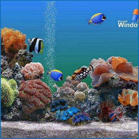 Free dream aquarium screensaver - tewsmood