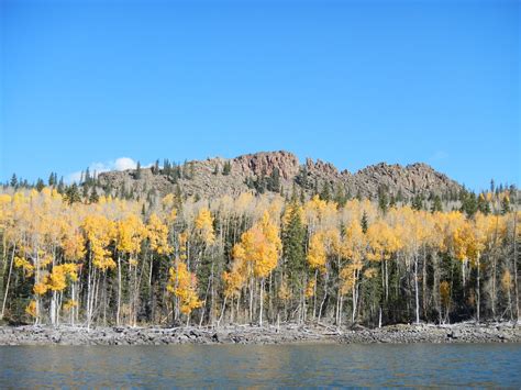 Utah Water Log: Boulder Mountain - Fall 2012