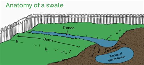 How a Swale Can Be a Perfect Fit for Your Yard - Fantastic Gardeners Blog | Permaculture design ...