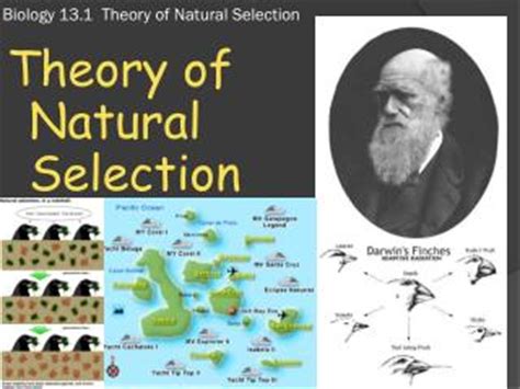 PPT - Darwin Mendel: Evolutionary Theory Explained PowerPoint ...