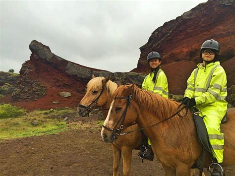 Miss HappyFeet: My Icelandic Horse Riding Experience In Reykjavik