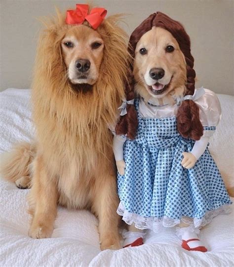 two dogs dressed in costumes sitting on a bed