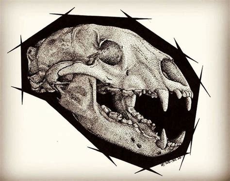 Bear Skull Drawing at GetDrawings | Free download