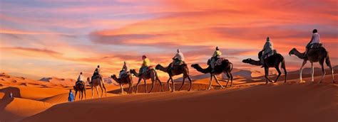 10 Best Tours and Trips in Moroccan Sahara Desert 2024/2025 – Compare ...