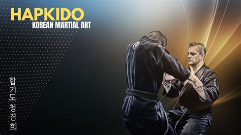 Hapkido Korean Martial Arts Wallpaper - Resolution:1920x1080 - ID ...