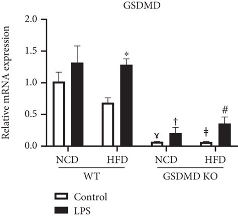 Macrophage activation in wild-type (WT) and gasdermin D knockout (GSDMD ...