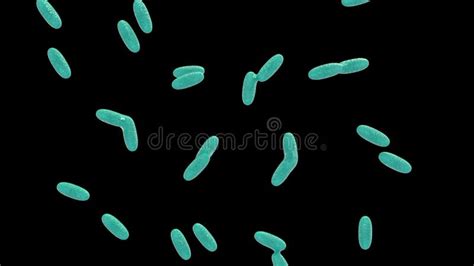 Bacteria Mycobacterium Tuberculosis Stock Footage - Video of medical ...