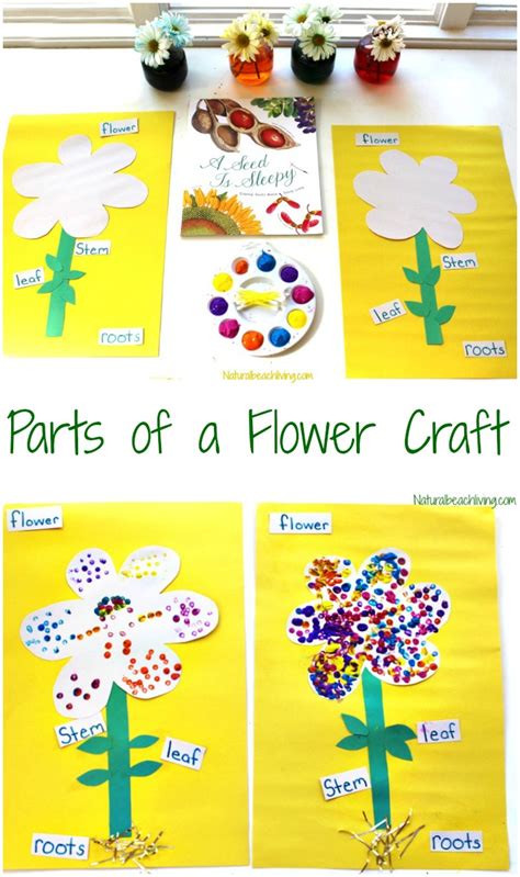 Parts Of A Flower Craft For Kids