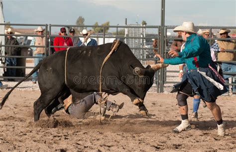 Cowboy Rodeo Bull Riding editorial image. Image of athlete - 63799155