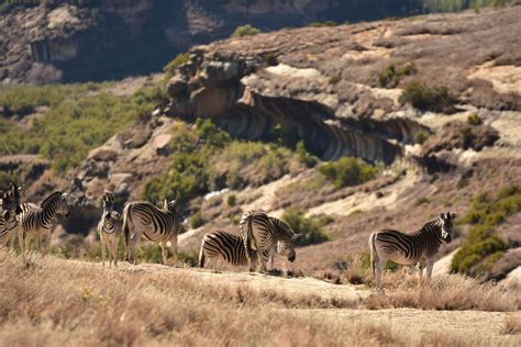 Clarens Activities in De Ark, Clarens - Clarens page