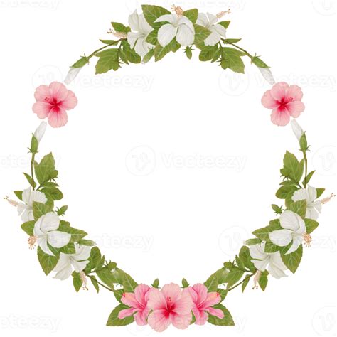 Wreath of Tropical Flowers in Hibiscus Watercolor 10989043 PNG