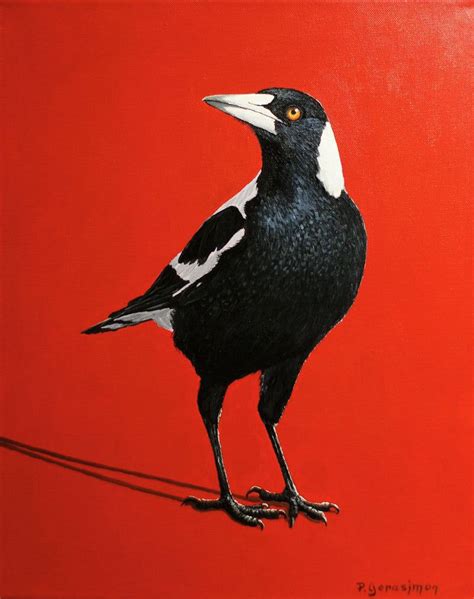 Magpie Art - Australian Wildlife Painting