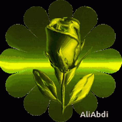 Flowers GIF - Flowers - Discover & Share GIFs