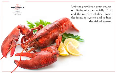 Fact About Lobster Nutrition And Health Benefits | Fishermen's Net