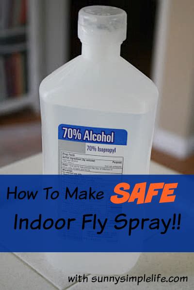 Sunny Simple Life: Best Homemade Indoor Fly Spray