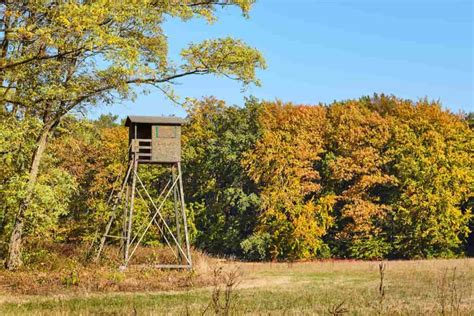 Deer Hunting Blinds: Why They're Essential and How to Choose the Right ...