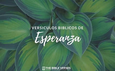 50 Versículos de la Biblia Sobre la Esperanza - RADIO DE BENDICIÓN