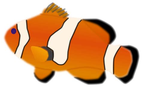 Clipart - Aquarium fish - Amphiprion percula
