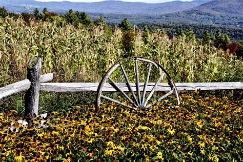 Wagon Wheel In Autumn Garden Free Stock Photo - Public Domain Pictures