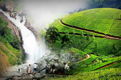 16 Places To Visit In Munnar (2024 Updated) , Munnar sightseeing