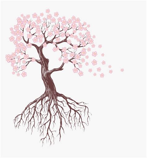 Tree Roots Drawing - Trees With Flowers Drawings, HD Png Download - kindpng