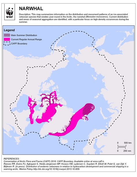 Narwhal (Monodon monoceros) | WWF-Canada