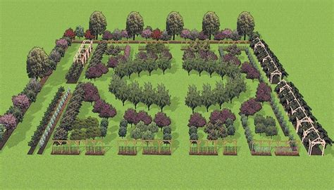 Author’s rendering of the Fruit Garden. I like this shape. Could change fruits and other plants ...