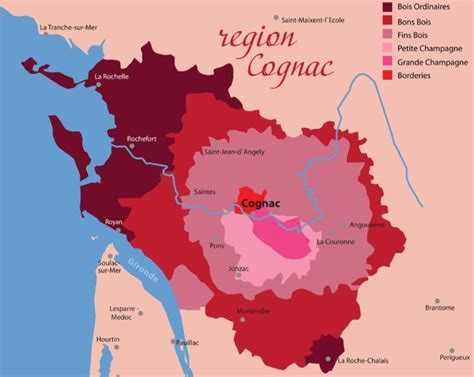 Understanding Cognac: The Spirit and Lifeblood of France - Lifestyle ...