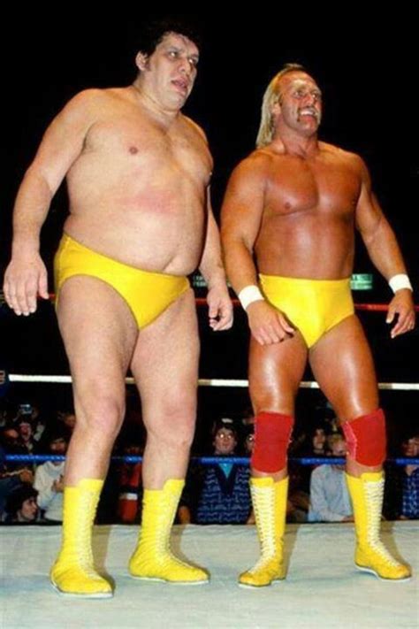 ANDRE THE GIANT / HULK HOGAN | Andre The Giant | Pinterest | Lucha libre