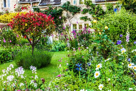 How to create a classic English country cottage garden: What to plant, where to plant it and ...