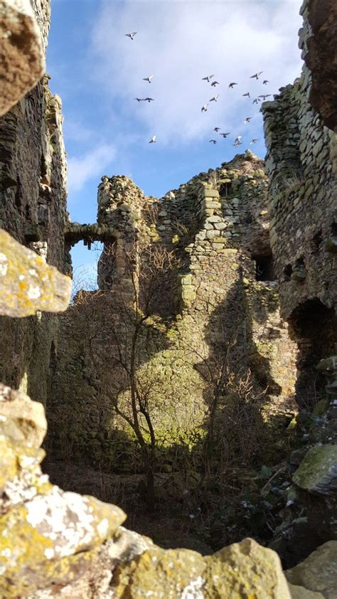 Lordscairnie Castle in Fife | Scotland castles, Scottish castles, Abandoned castles