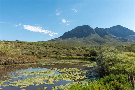 Top 10 Nature Reserves In and Around Cape Town - Cape Tourism