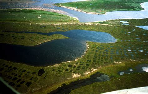 Lena Delta Wildlife Reserve, the Lena River Delta, near town Tiksi, Sakha Republic, far north of ...