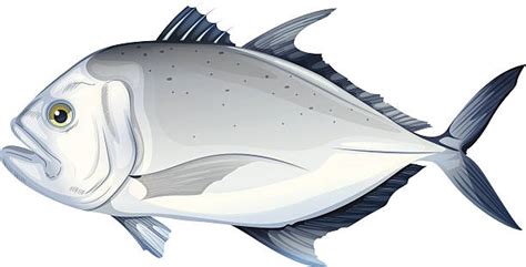 3,400+ Bigeye Trevally Stock Photos, Pictures & Royalty-Free Images - iStock