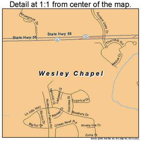 Wesley Chapel Florida Street Map 1275875