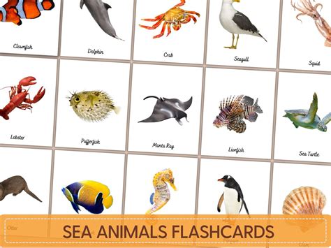 Sea Animals Flashcards, Ocean Animals, Montessori Flashcards Printable ...