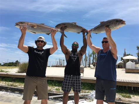 Amberjack Fishing Season Destin, Florida : Destin Offshore Fishing