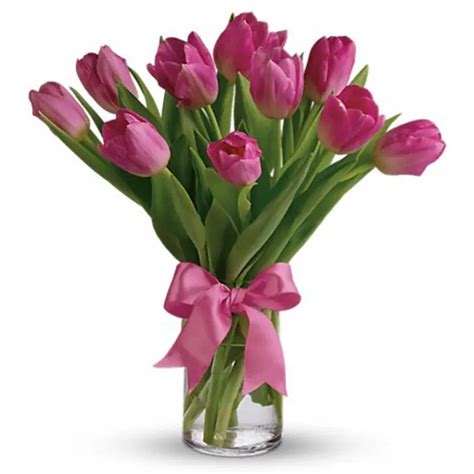 Pink Tulip | Online Tulip Flowers in Bangalore | Order Now at Juneflowers.com