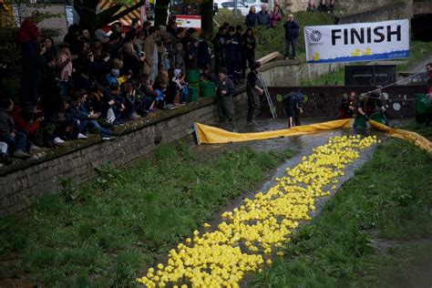 Witnessed today in Luxembourg: the annual Duck Race with over 15 000 rubber ducks! : rubberducks