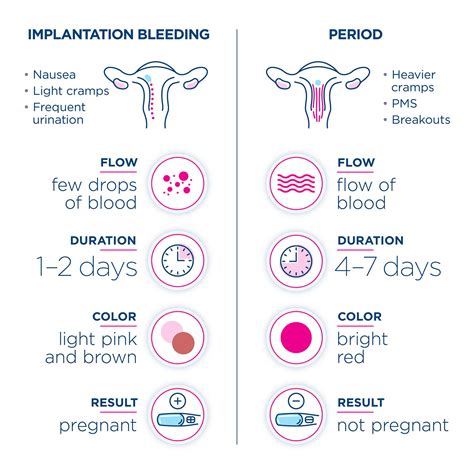 Implantation Bleeding: All you need to know - Clearblue