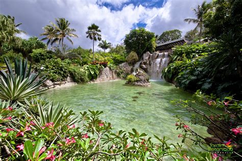 Jardin Botanique de Deshaies - Galerie photo du jardin