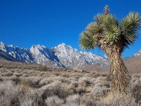 Kern County Mountains