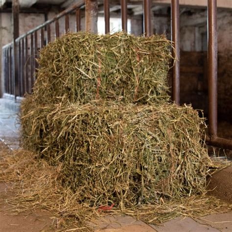 Hay Bales For Sale - Double J Farms