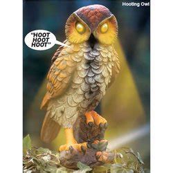 Amazon.com : Hooting Owl : Patio, Lawn & Garden