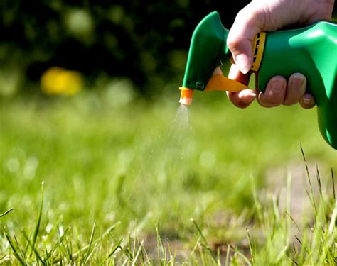 Herbicides' Purpose: Bring Gardening Efforts to Fruition | PurposeOf