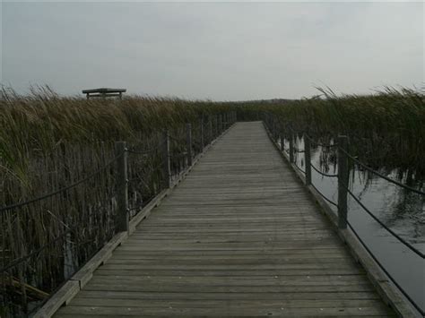 Horicon National Wildlife Refuge, a Wisconsin natlwild located near ...