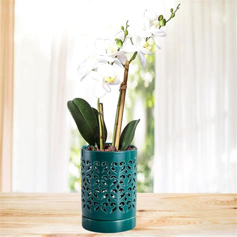 CYIHEYFU Orchid Pot with Holes Ceramic Plant Pots Indoor Outdoor Flower ...