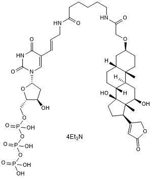 Digoxigenin-11-dUTP | Tocris Bioscience